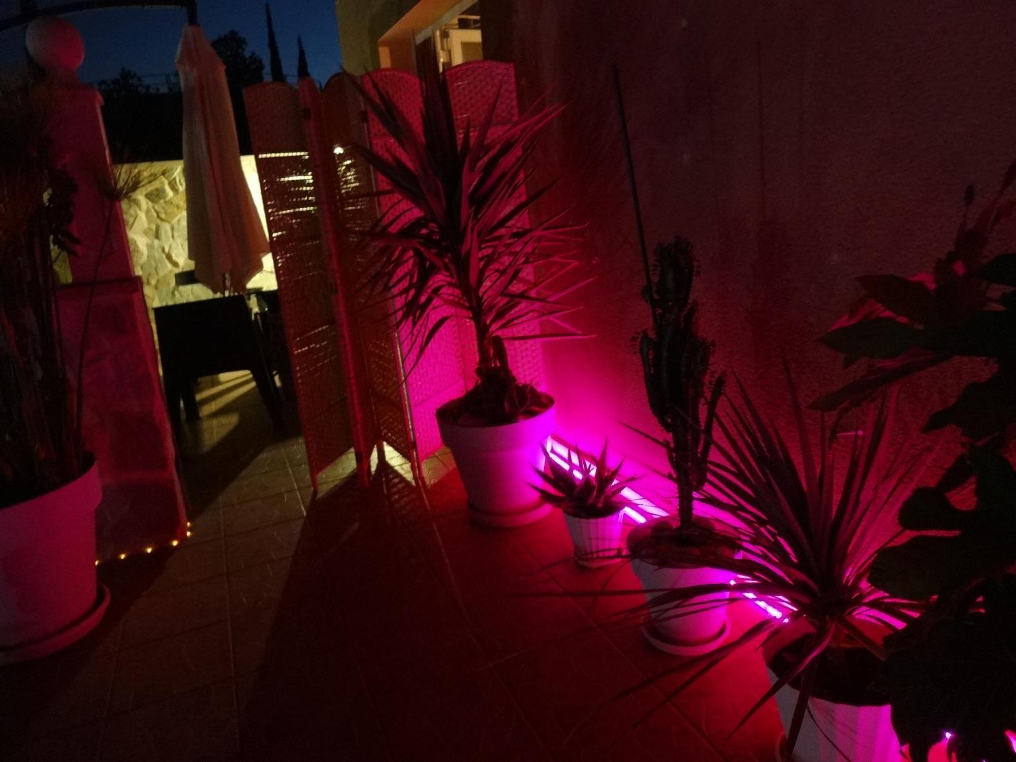 Las Palomas, Appartement 2 Chambres Avec Piscine Turís Esterno foto